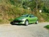 ����-����� Peugeot: �� �����