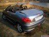 ����������� ����� ������ ������ (Peugeot 206 CC) - ���� 12